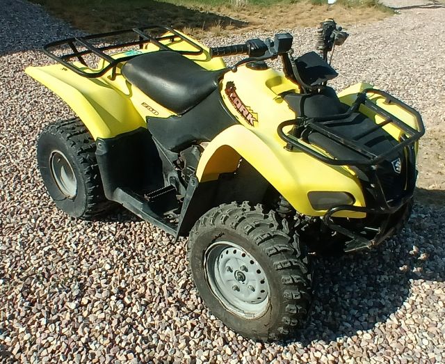 2002 SUZUKI OZARK 250 (6).jpg